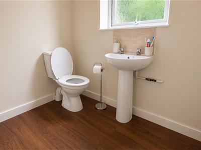 Picture 10